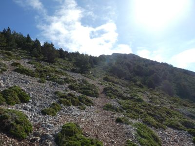 Vue montée sommet 2