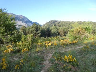 Croisement après Abellada 2