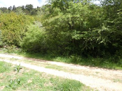 Croisement après Fenales