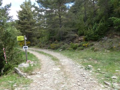 Croisement après Fenales 2
