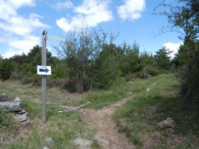 Croisement après Can Used