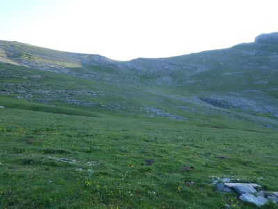 Croisement fin Buxerbala