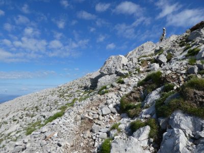 Croisement Montañesa