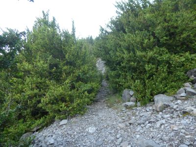 Croisement après Maquis 1