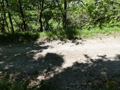 Croisement piste Abozo retour