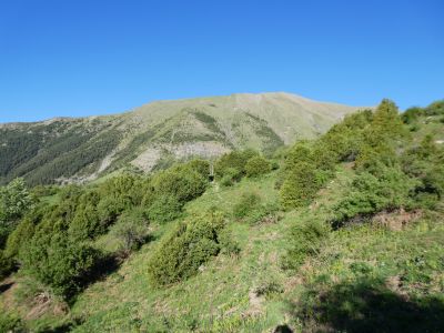 Vue montée Cebollar