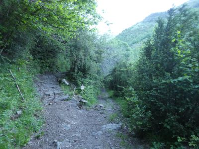 Croisement avant Sarecho