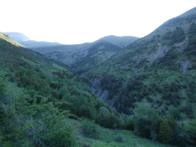 Vue Cebollar