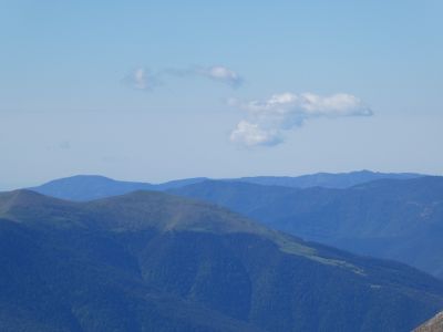 Vue Forcas