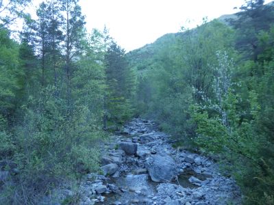 Vue Sorrosal