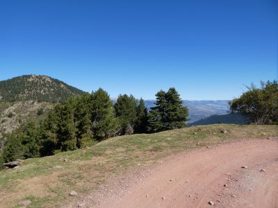 Croisement piste Home Mort 2