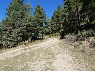 Croisement fin piste Guilera 2