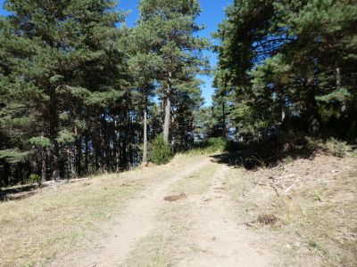 Croisement piste Guilera 2