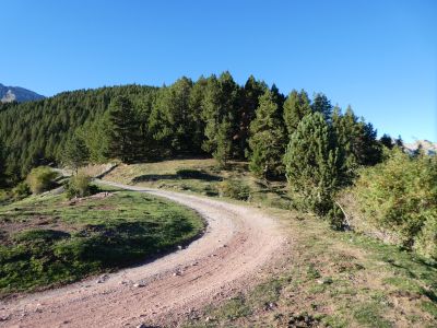 Croisement piste Home Mort