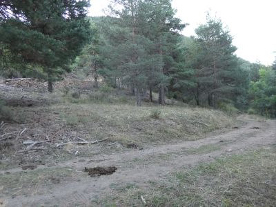 Croisement piste Guilera