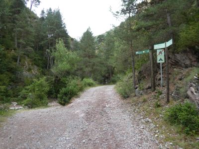 Croisement Cavallers