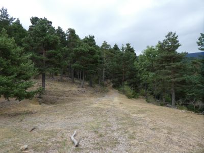 Croisement Serrat Nefòl 2