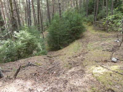 Croisement après sentier Nefòl