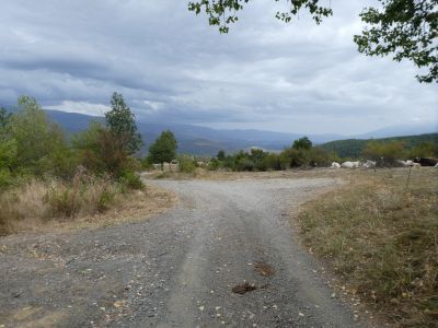 Croisement Camí Boixos 2