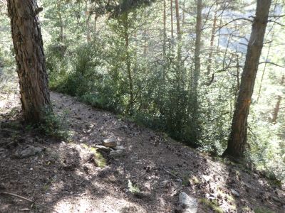 Croisement sentier Home Mort