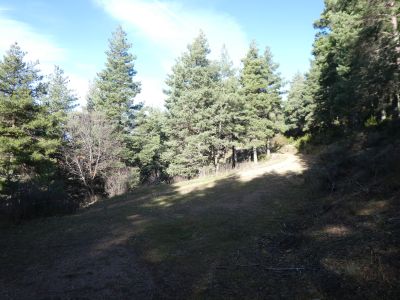 Croisement piste Bassa