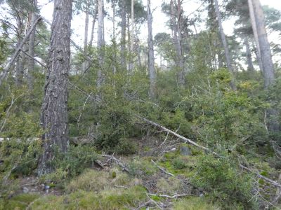 Vue montée Batlle 2