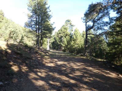 Croisement montée Gran
