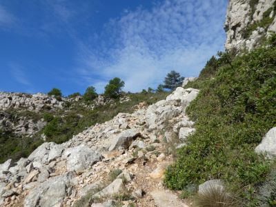 Croisement Bernat
