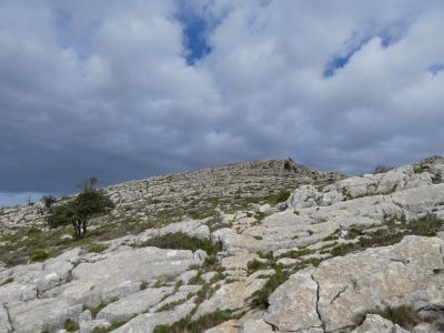 Vue montée Frares