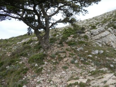 Croisement après Frares 2