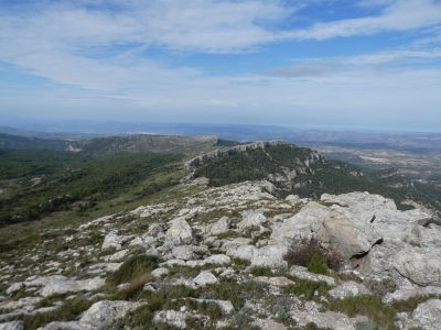 Croisement après Miranda