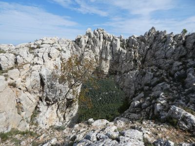 Vue Foradada