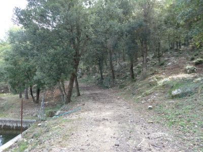 Font Abellar