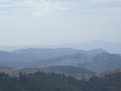 Vue Aliga