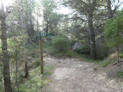Terra Blanca