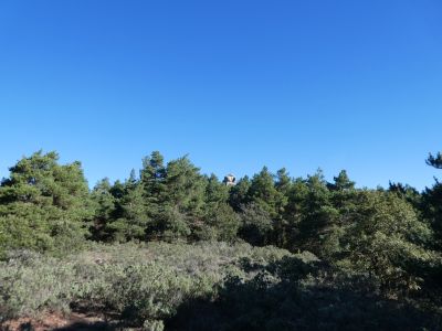 Vue Gríngol