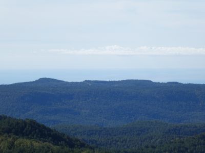 Vue Sec