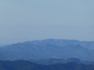 Vue Moles