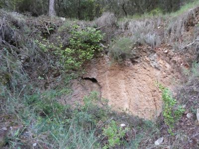 Vue Forn Calç Barral