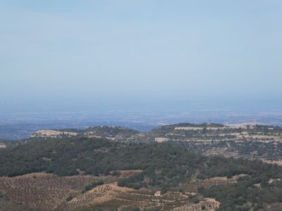 Vue Llena