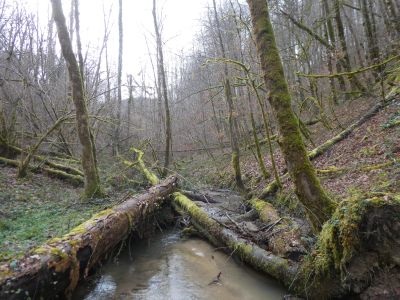 Vue Ruisseau Aleu 2
