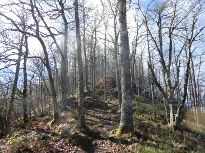 Vue montée sommet