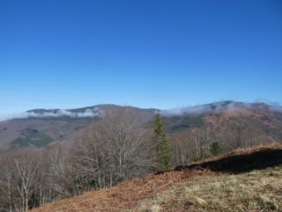Vue Vallée Arac 2