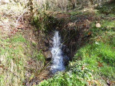 Vue affluent Ruisseau Aleu