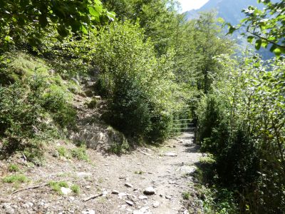 Croisement Lanette 2