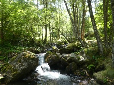 Vue Ruisseau Artiès 2
