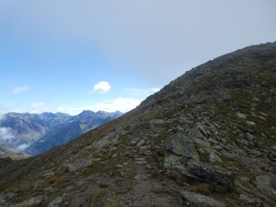 Croisement Cometa Forn