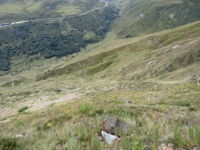 Croisement GRT68 Vaca Morta