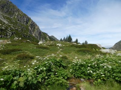 Etang inférieur Madides 2