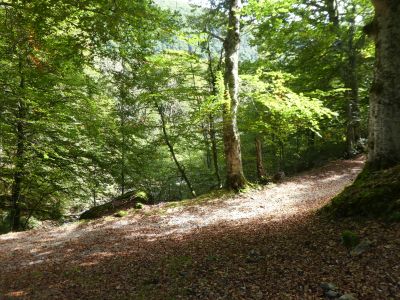 Croisement départ 2